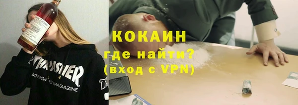 соль ск Новодвинск