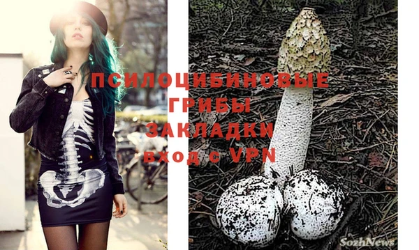 соль ск Новодвинск
