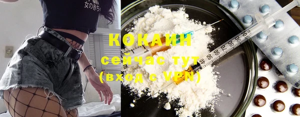 соль ск Новодвинск
