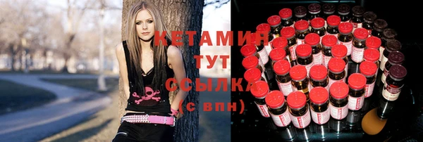 соль ск Новодвинск
