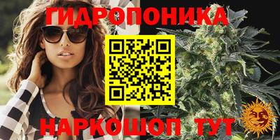 гашик Ипатово
