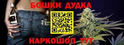 гашик Ипатово