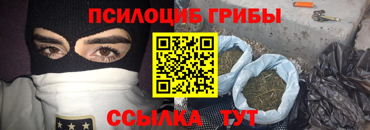 Псилоцибиновые грибы мицелий Электрогорск